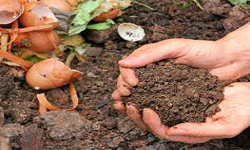 Industrial Biodegradable Waste Managment